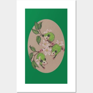 Green Apple Opossums Posters and Art